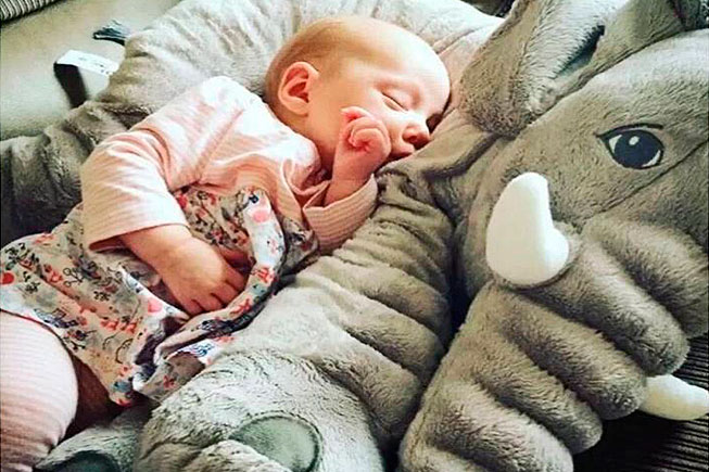 elefantes peluches para bebes